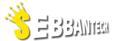 logo1